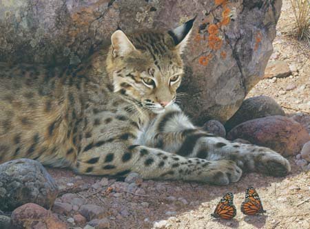 (image for) Handmade oil painting Copy paintings of famous artists Carl Brenders Paintings Off Limits-Bobcat